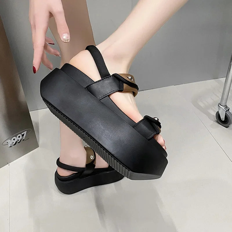 Chunky Block Heels Gladiator Sandals, 8cm for Women Maxct
