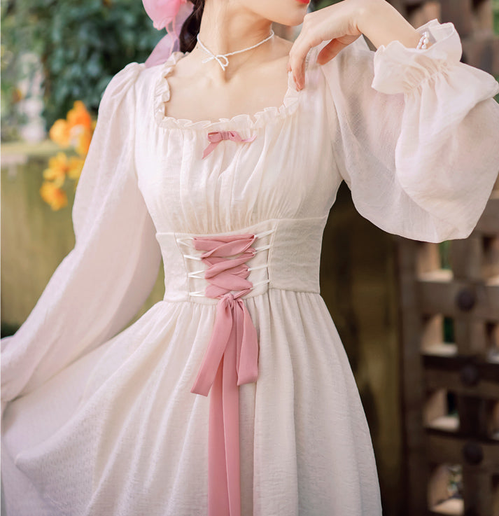 Meadow Corset Midi Dress Maxct