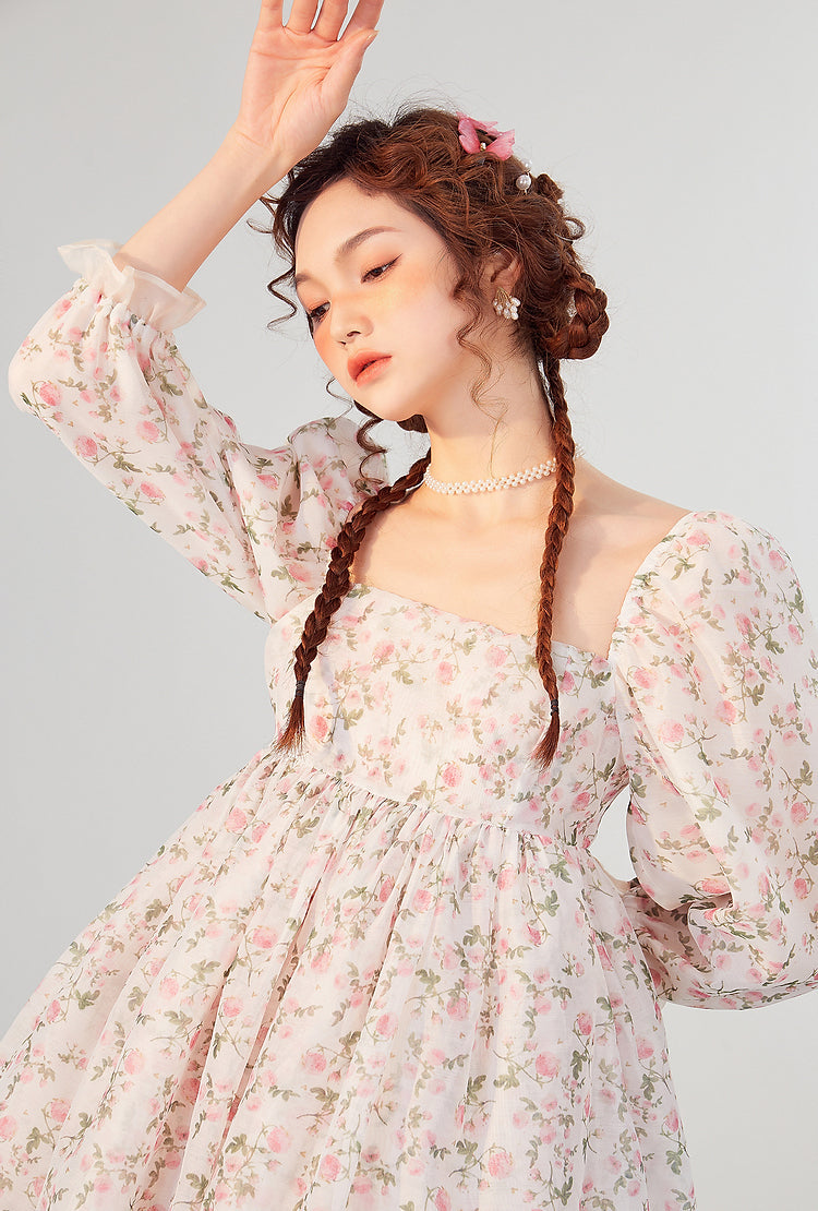 Rose Tea Reversible Mini Puff Dress Maxct