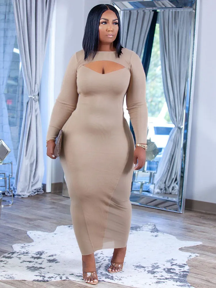 Mesh Bodycon Maxi Dress Maxct