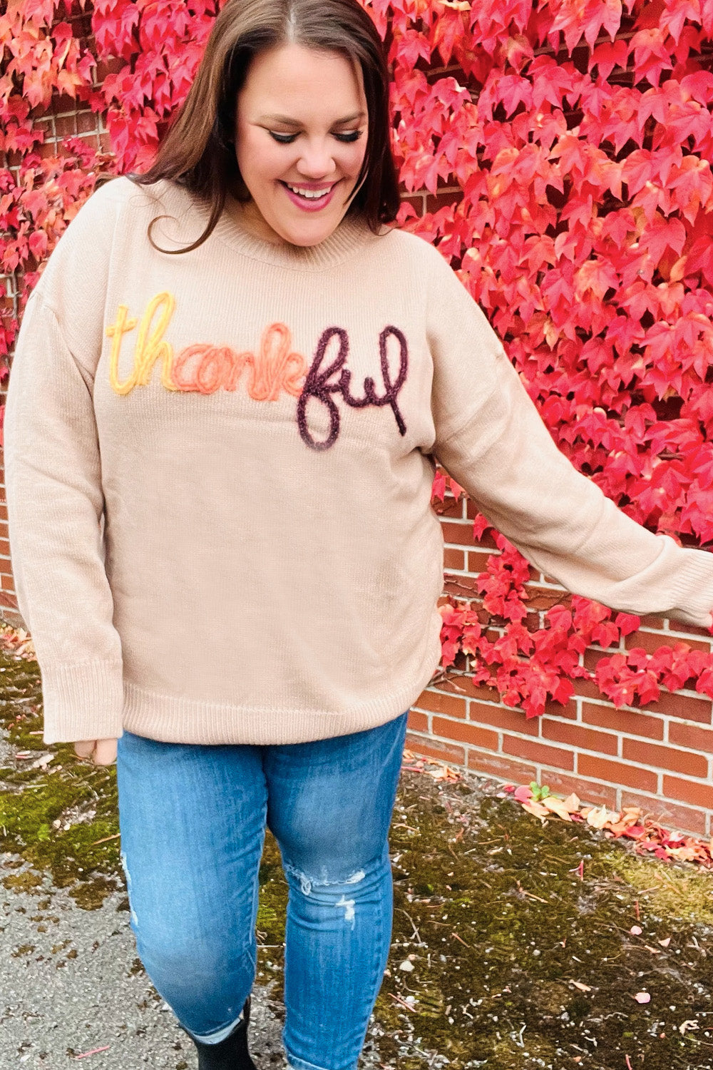 Maxct &Feeling Thankful Taupe Pop Up Glittery Embroidery Sweater