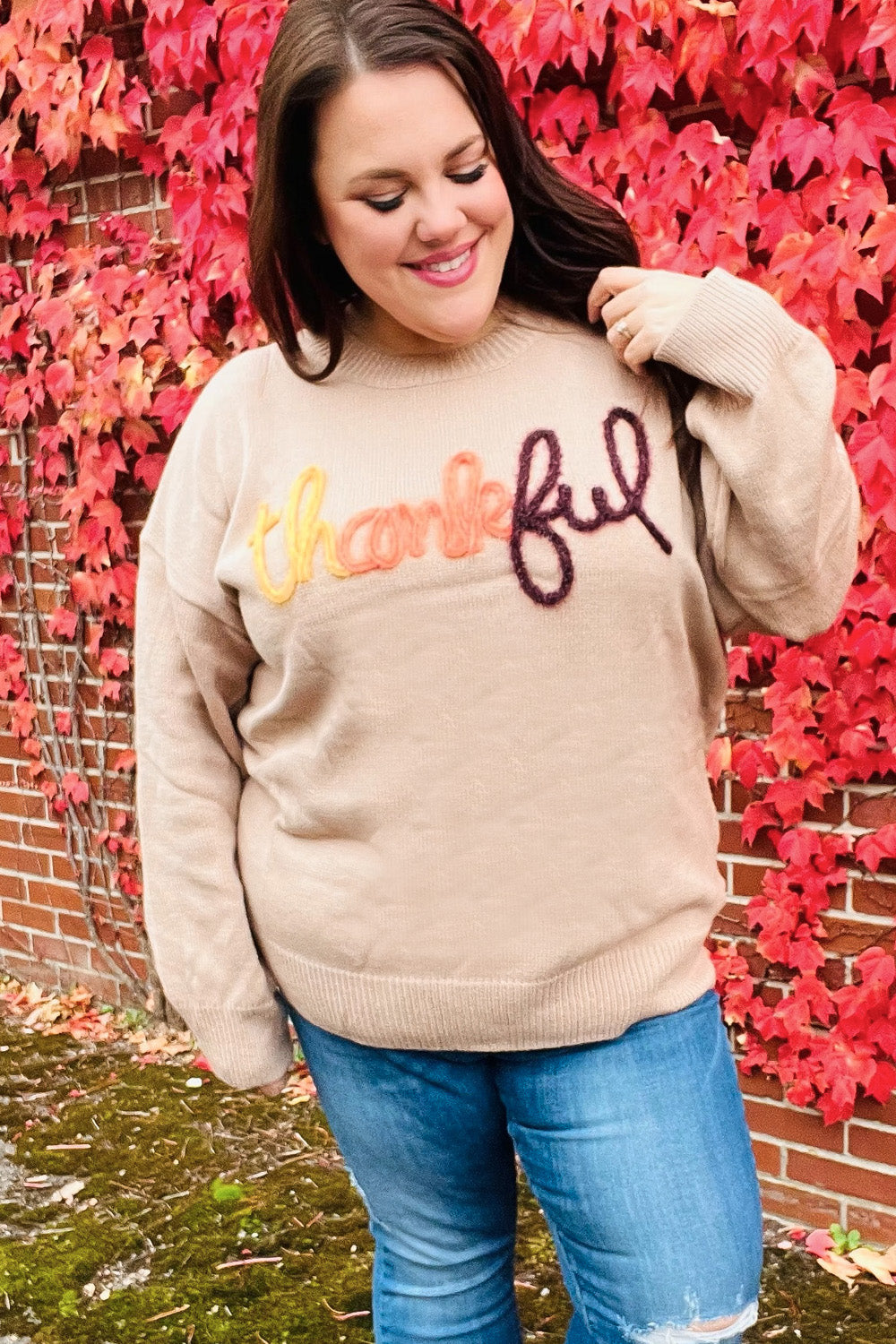 Maxct &Feeling Thankful Taupe Pop Up Glittery Embroidery Sweater