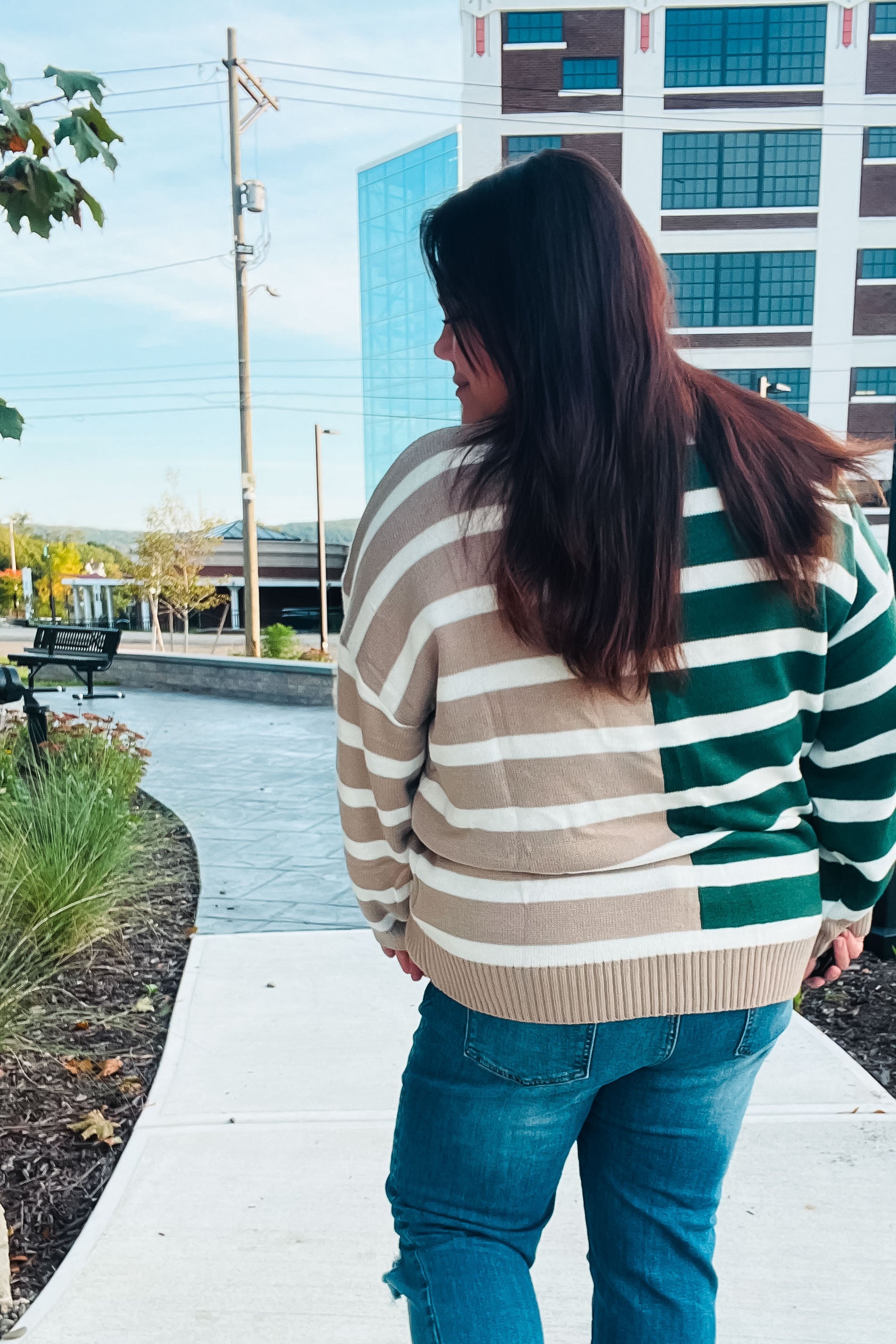 Maxct &Hunter Green & Taupe Striped Color Block Sweater - Image 5