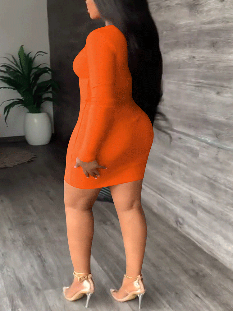 Tassel Long Sleeve Mini Dress Maxct