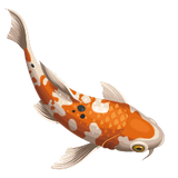 Koi Fish Embroidered Shorts