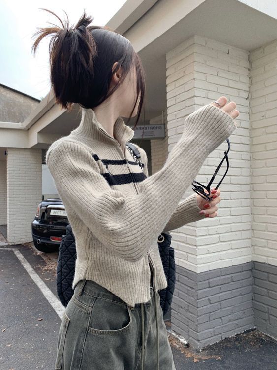 Maxct Vintage Striped Zip Up Cropped Cardigan