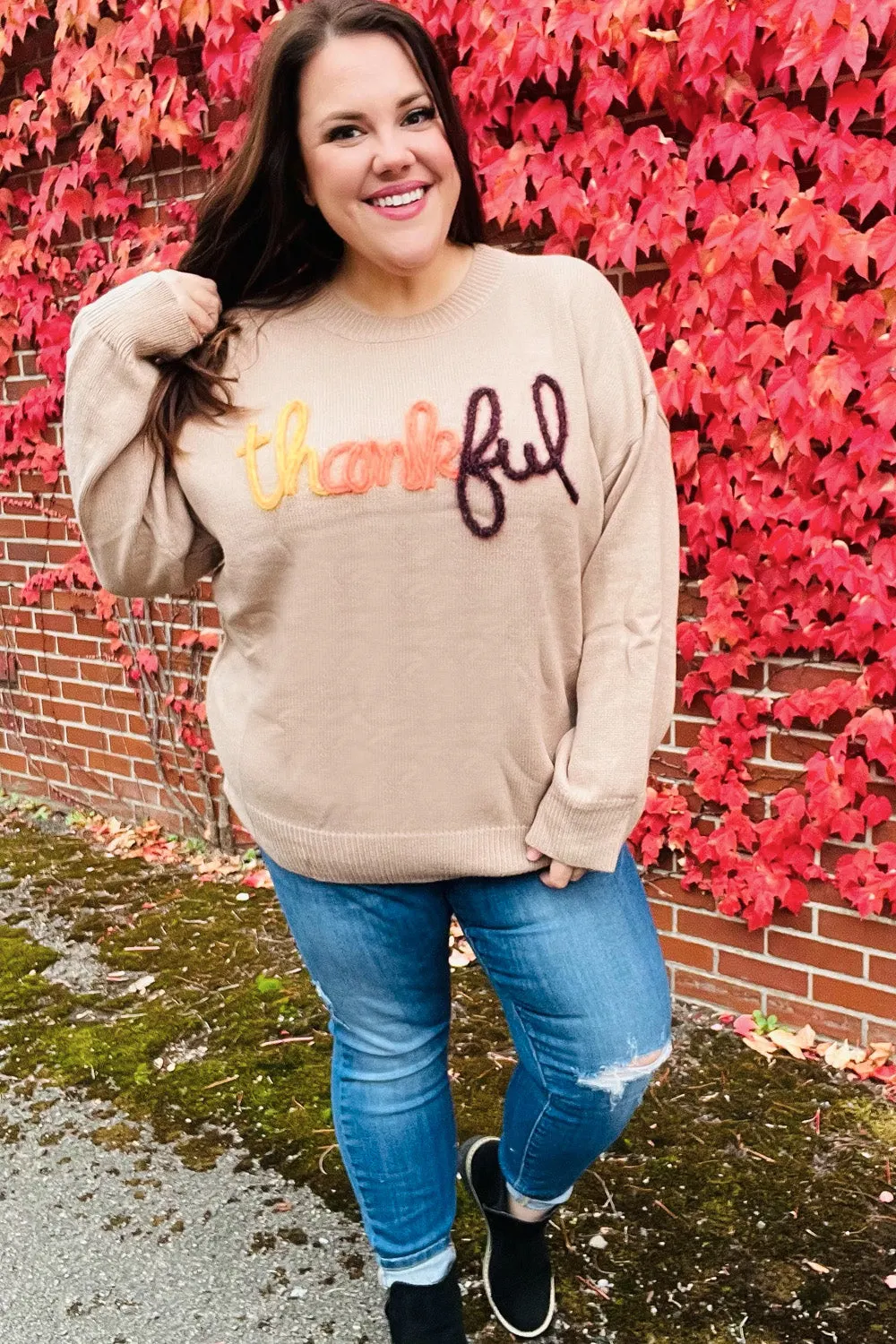 Maxct &Feeling Thankful Taupe Pop Up Glittery Embroidery Sweater