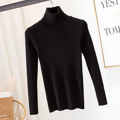 Maxct Turtleneck sweater