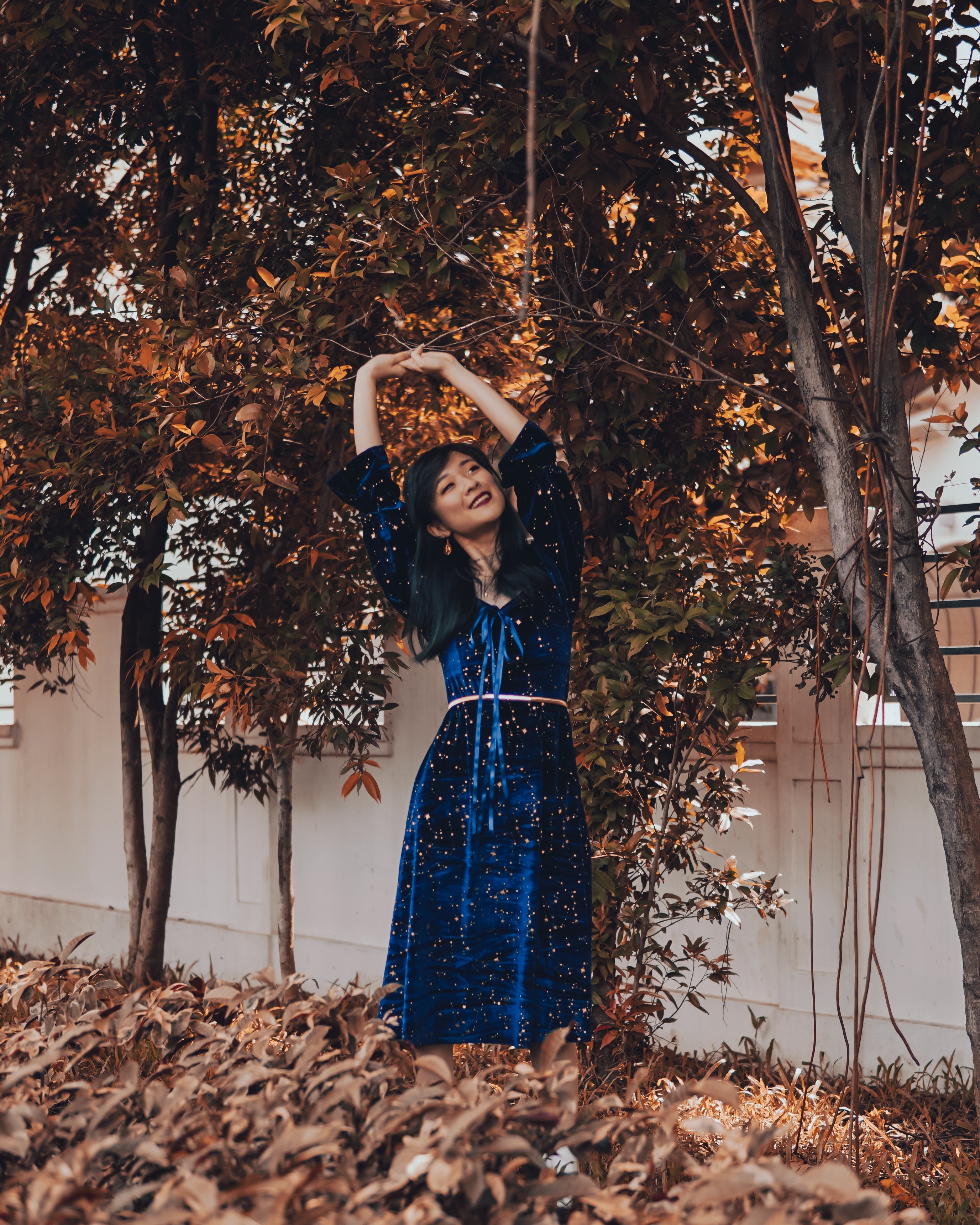Constellation Velvet Midi Dress Maxct
