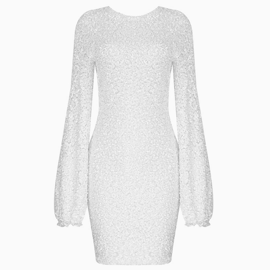 Sparkly Sequin Lacy Long Sleeve Party Mini Dress - White Maxct
