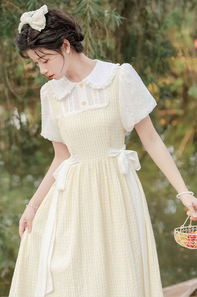 Gingham Picnic Twofer Dress Maxct