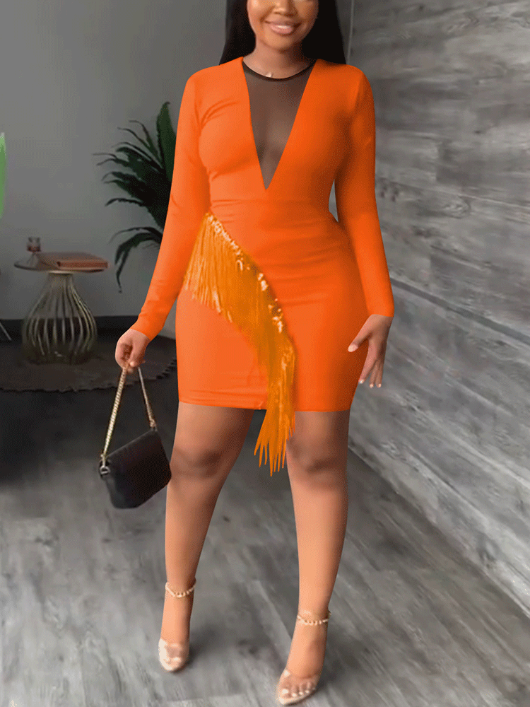 Tassel Long Sleeve Mini Dress Maxct