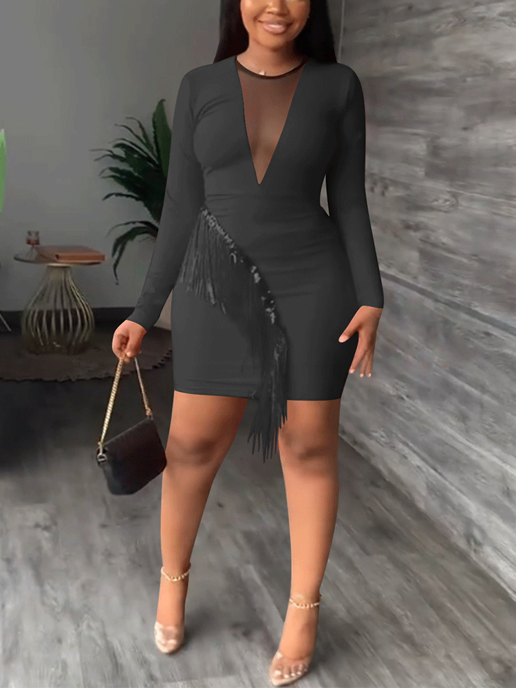Tassel Long Sleeve Mini Dress Maxct