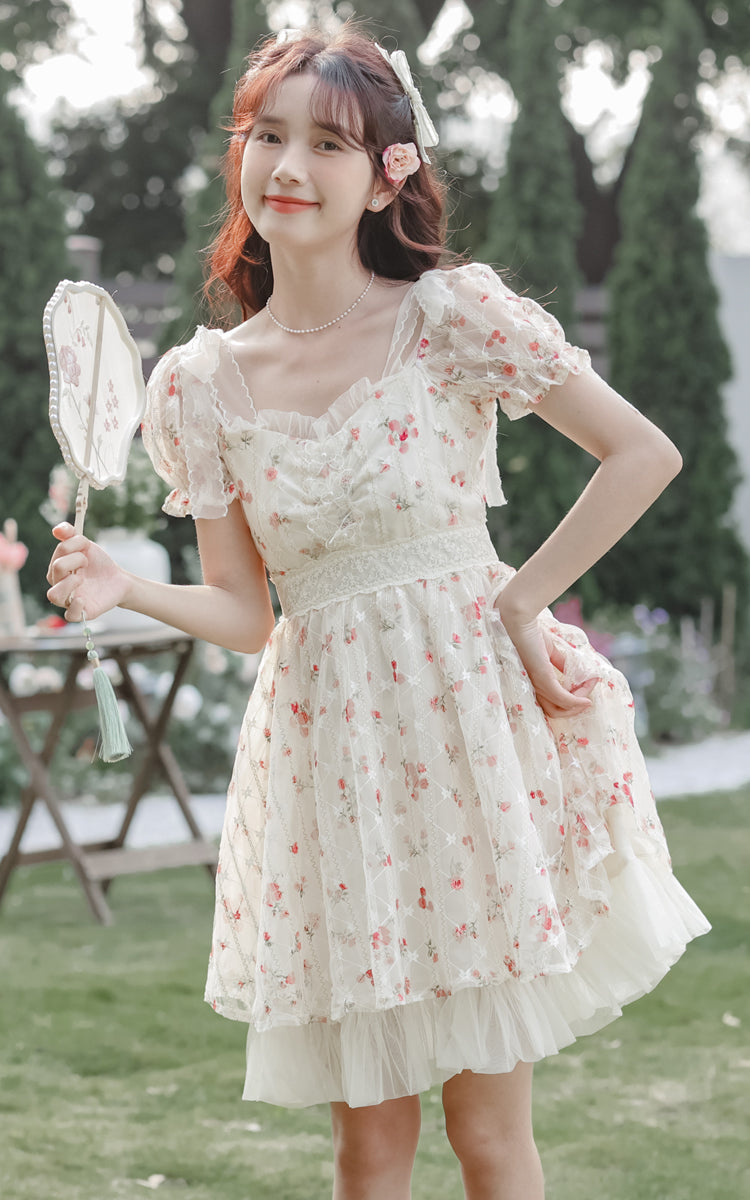 Dainty Rose Petticoat Mini Dress Maxct