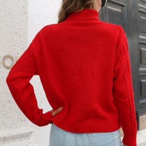 Maxct &Turtleneck Long Sleeve Sweater
