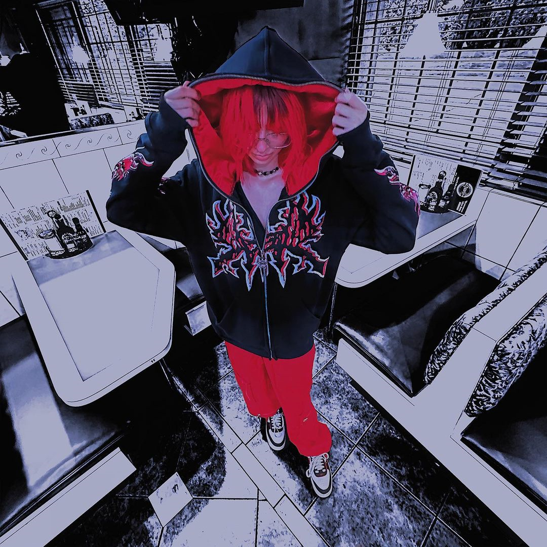 Y2K Women's Men's Hoodies Clothing Long Sleeve Pullover Zip Sweatshirt Streewear Oversize Halloween tops Hooded Shirt anime kpop