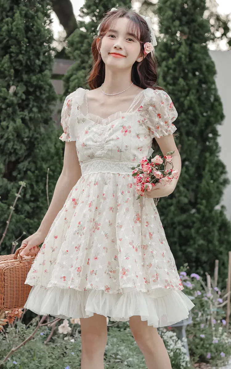 Dainty Rose Petticoat Mini Dress Maxct