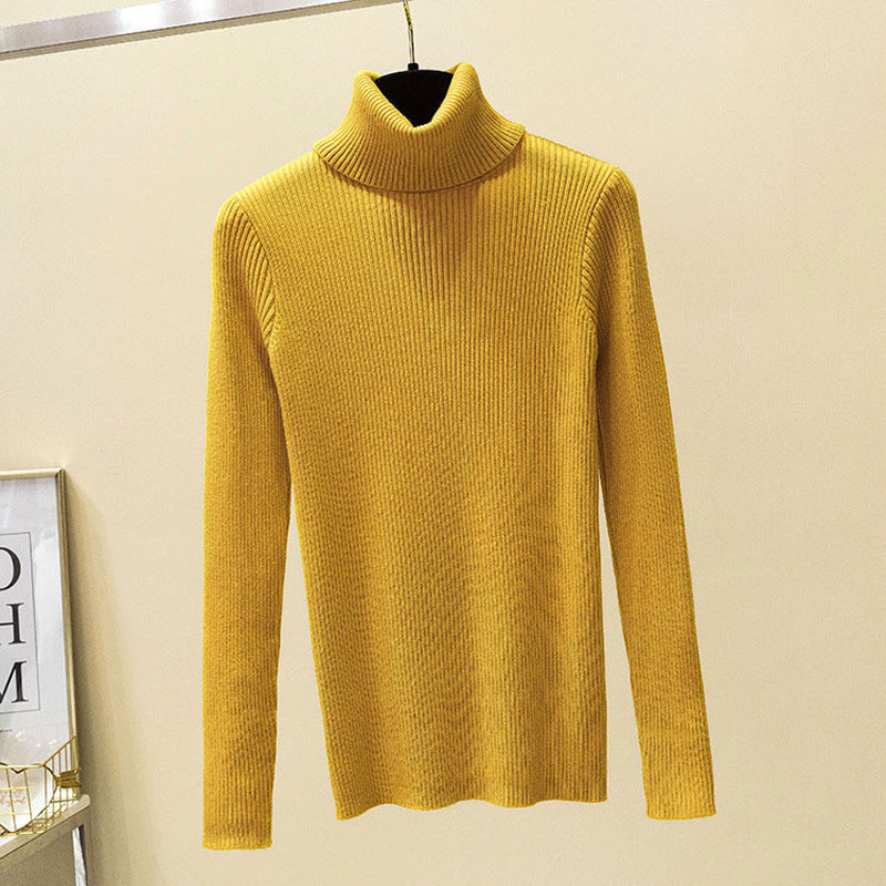Maxct Turtleneck sweater