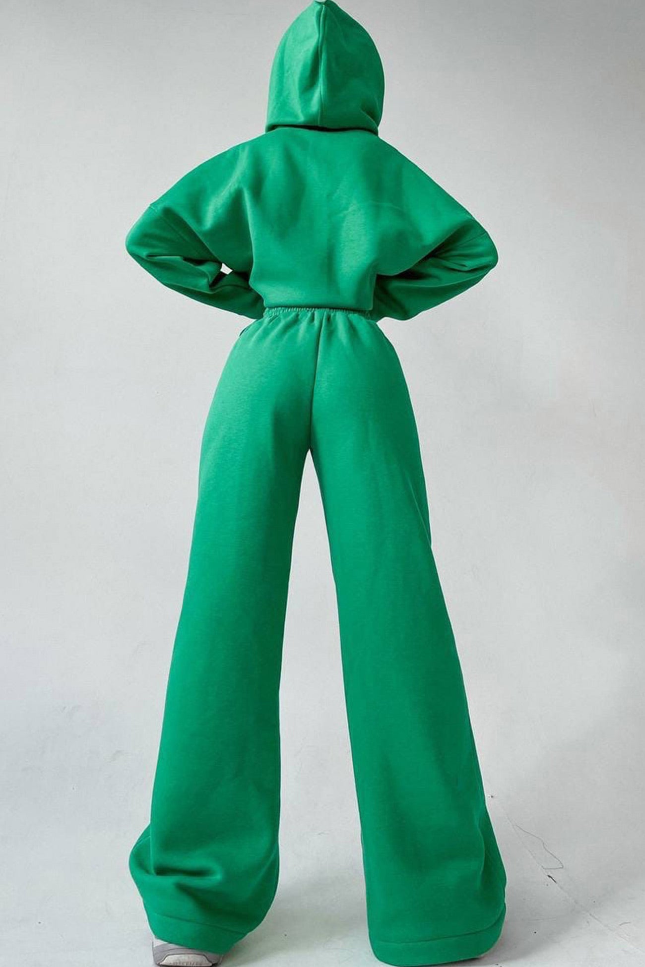 Maxct-Solid Hoodie Wide Leg Long Pants Suits
