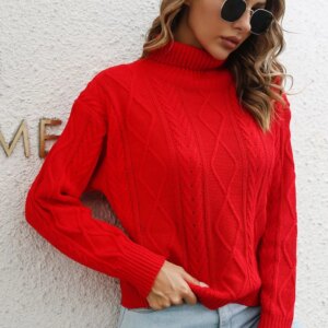 Maxct &Turtleneck Long Sleeve Sweater
