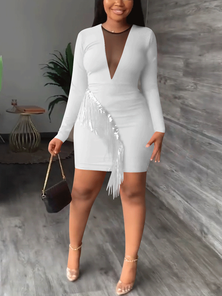 Tassel Long Sleeve Mini Dress Maxct