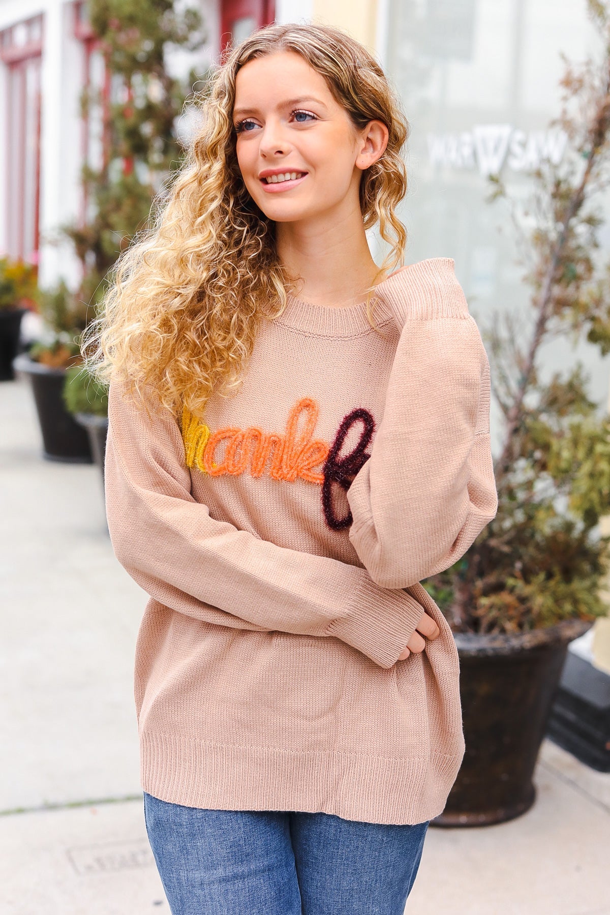 Maxct &Feeling Thankful Taupe Pop Up Glittery Embroidery Sweater