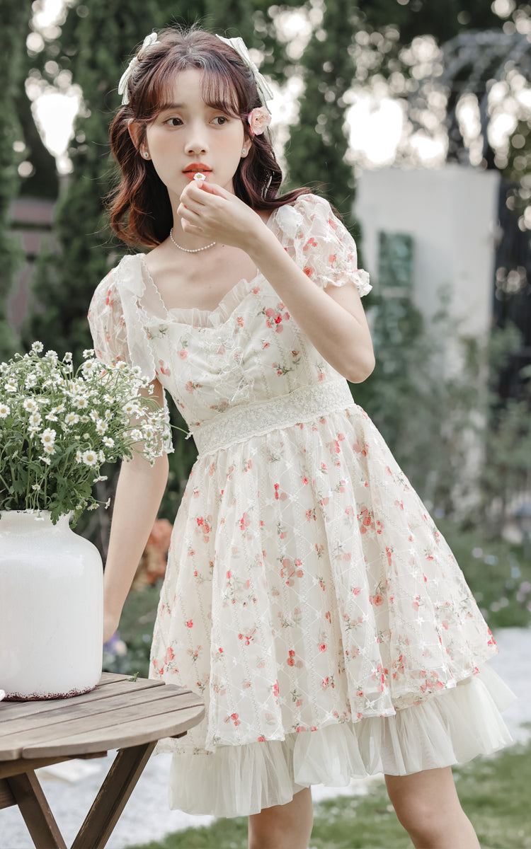Dainty Rose Petticoat Mini Dress Maxct